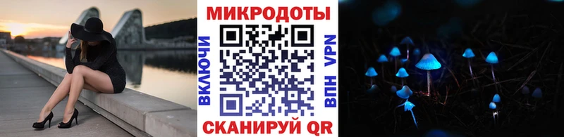 Галлюциногенные грибы Psilocybe  продажа наркотиков  ОМГ ОМГ сайт  Щёкино 